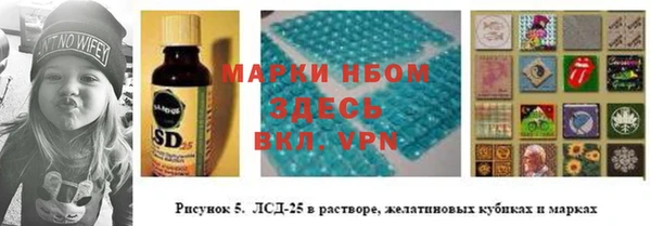 СК Горнозаводск
