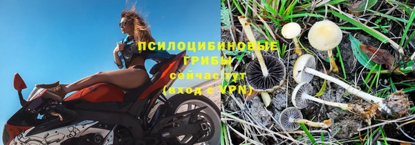 СК Горнозаводск