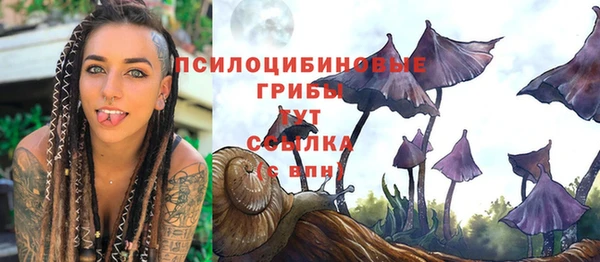 СК Горнозаводск