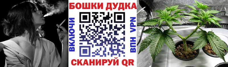 Шишки марихуана AK-47  даркнет Telegram  Иланский  цена наркотик 